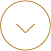 icono down - continuar web